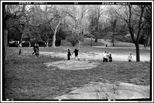 6885910454_7c492f6442_o